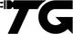 TeslaGeek logo
